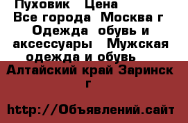 Пуховик › Цена ­ 2 000 - Все города, Москва г. Одежда, обувь и аксессуары » Мужская одежда и обувь   . Алтайский край,Заринск г.